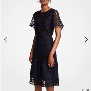 [Ann Taylor LOFT] Mixed Lace Navy Dress Size 4 NWT